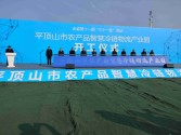 由兴建咨询监理的平顶山农产品智慧冷链物流产业园项目举行开工仪式