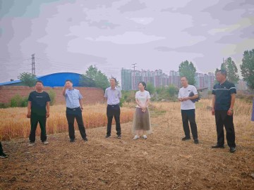 平顶山市住建局副局长张书芳、三级调研员程德强组织相关部门到经九路协调进场施工等相关事宜
